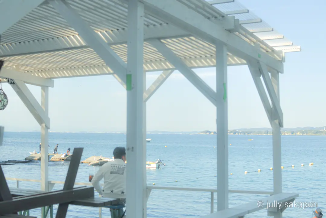 【さかぽんの冒険】三崎マグロきっぷ❤️海の画像_15