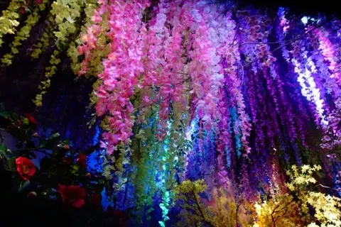 芸術鑑賞Dayで癒されるの画像_2