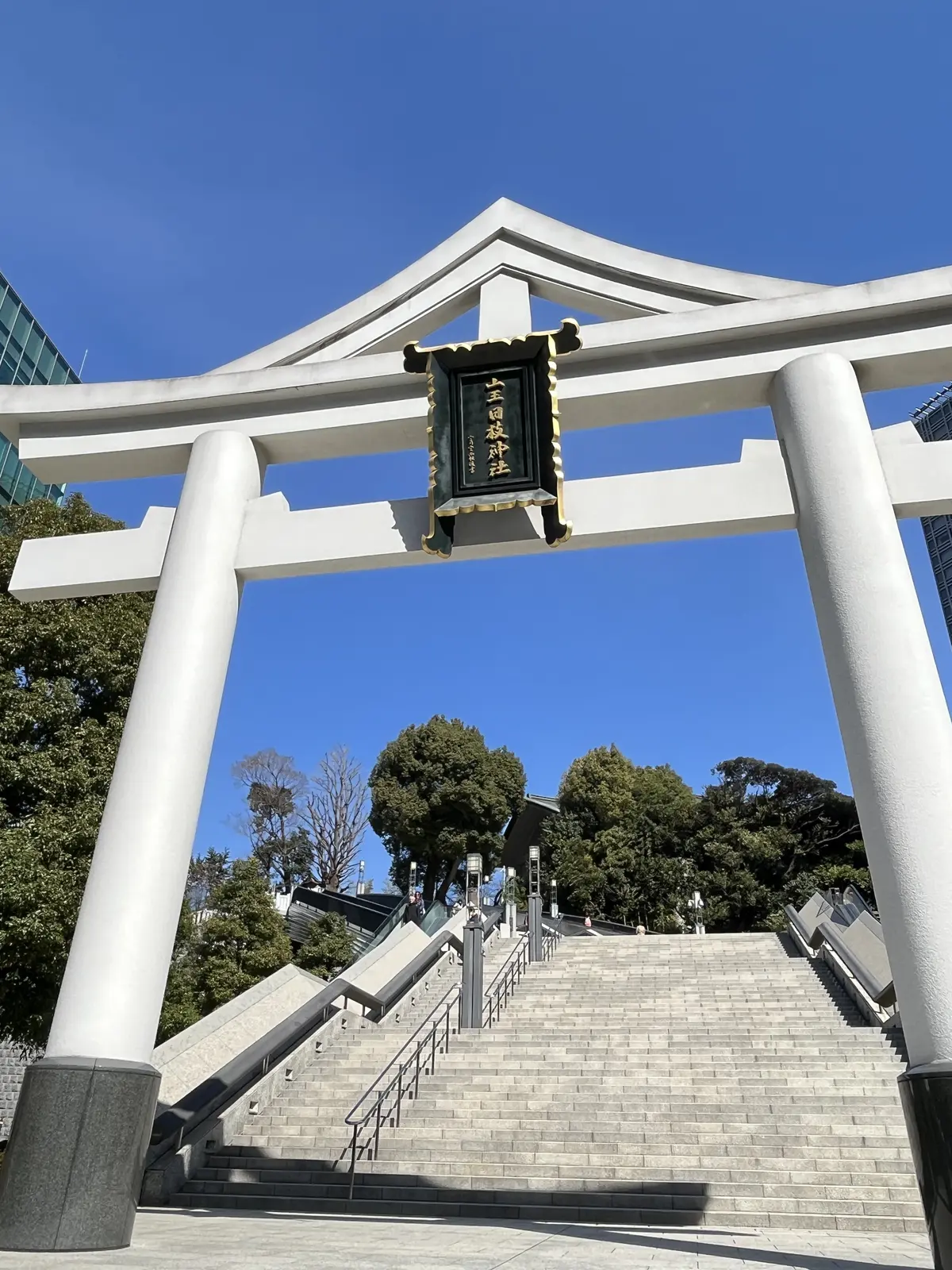 旬花を束ねに♫の画像_6