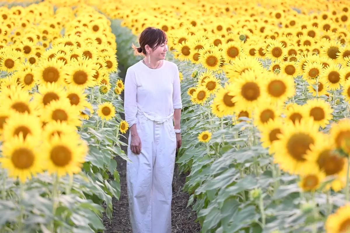 ひぐらし、夕暮れ、満開のひまわり♡の画像_3