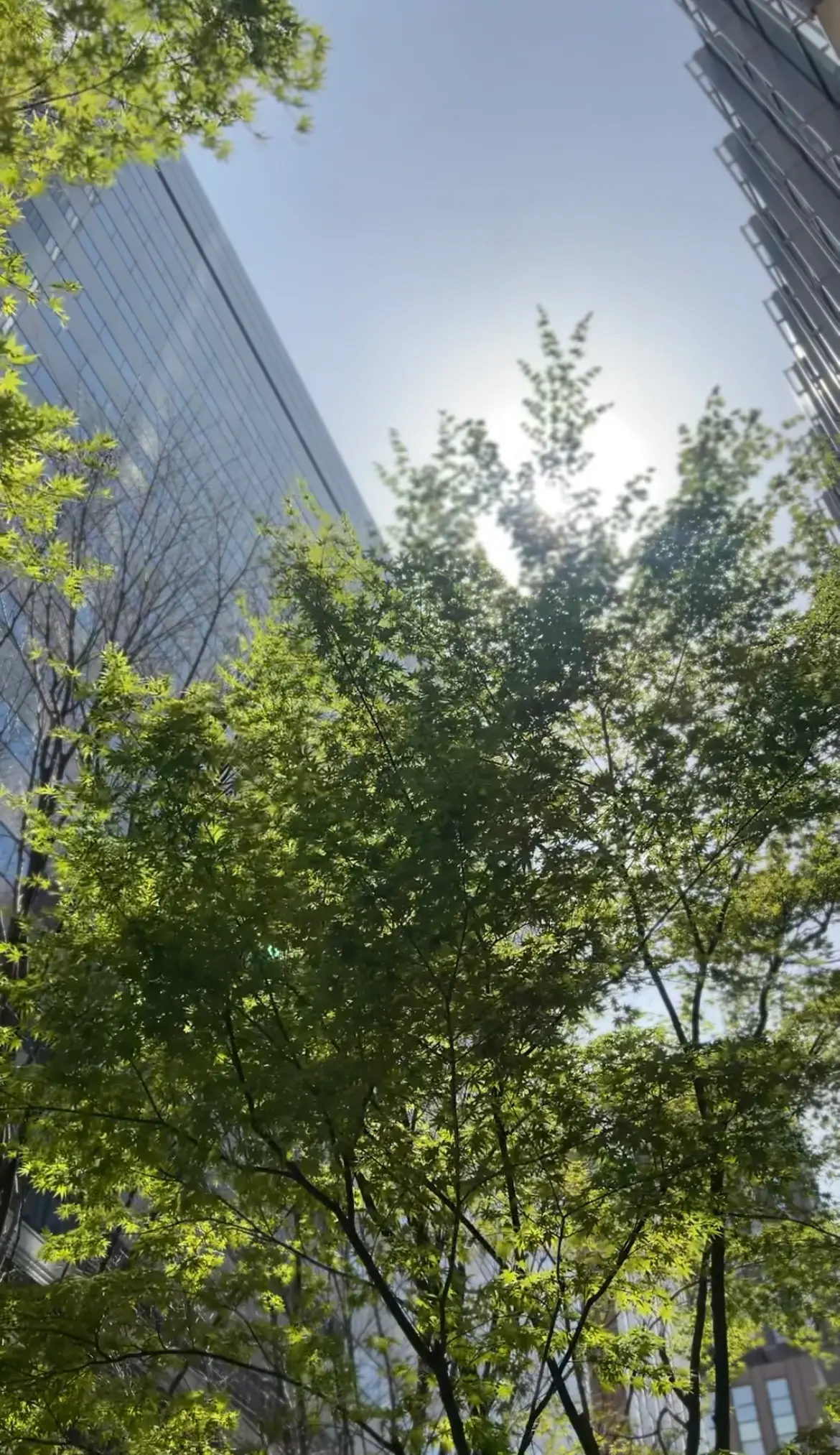 背すじがシャンとする愛用デニム☆の画像_1