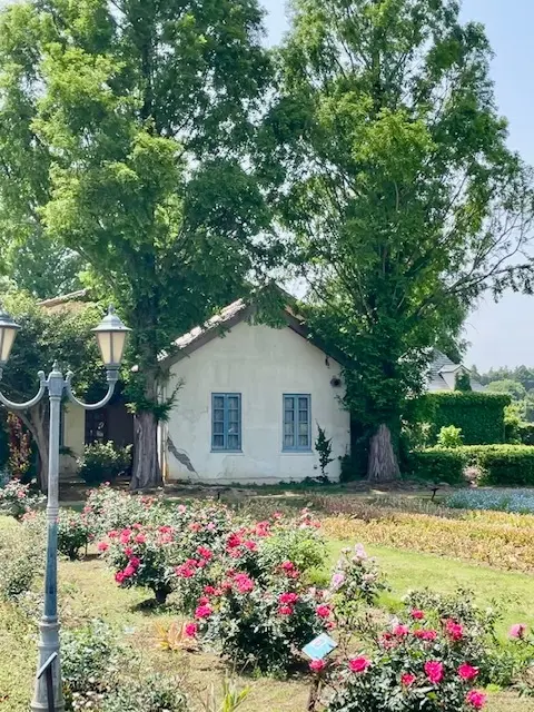 茨城の自然が楽しめる素敵な場所への画像_1