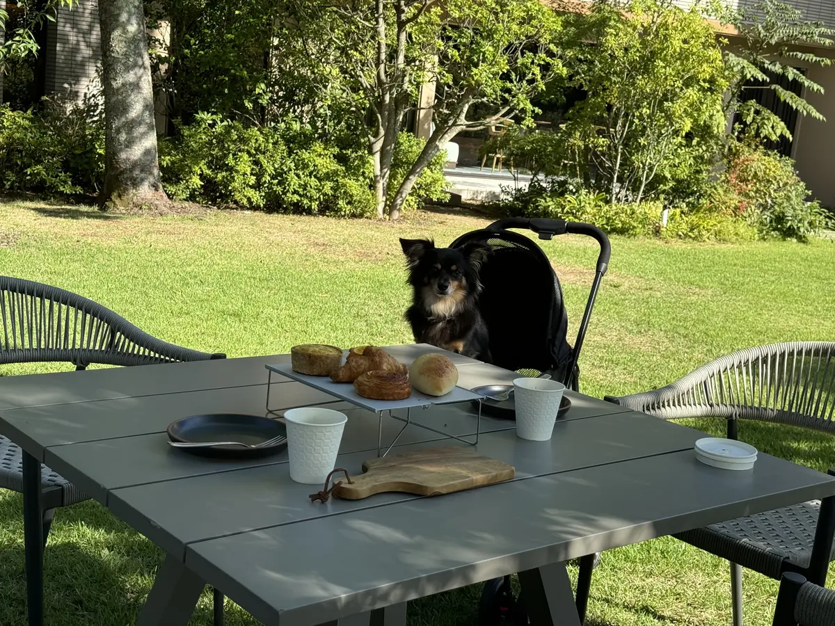 UNIQLOシアーシャツで過ごす癒しの箱の画像_13