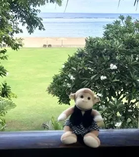 コンラッドベア　バリ　コンラッドモンキー