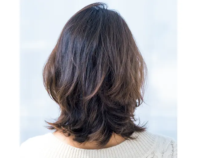 立体ミディアムのバック