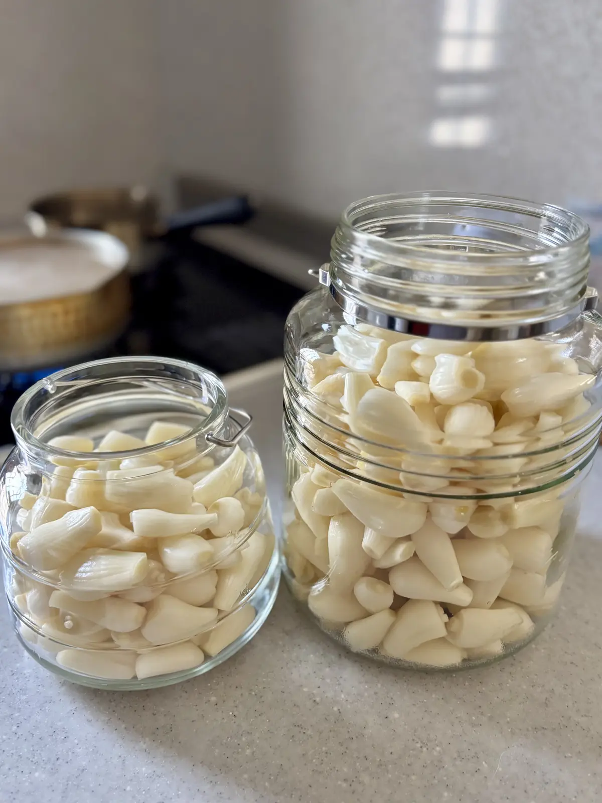 2026 夏しごと　らっきょう編の画像_3