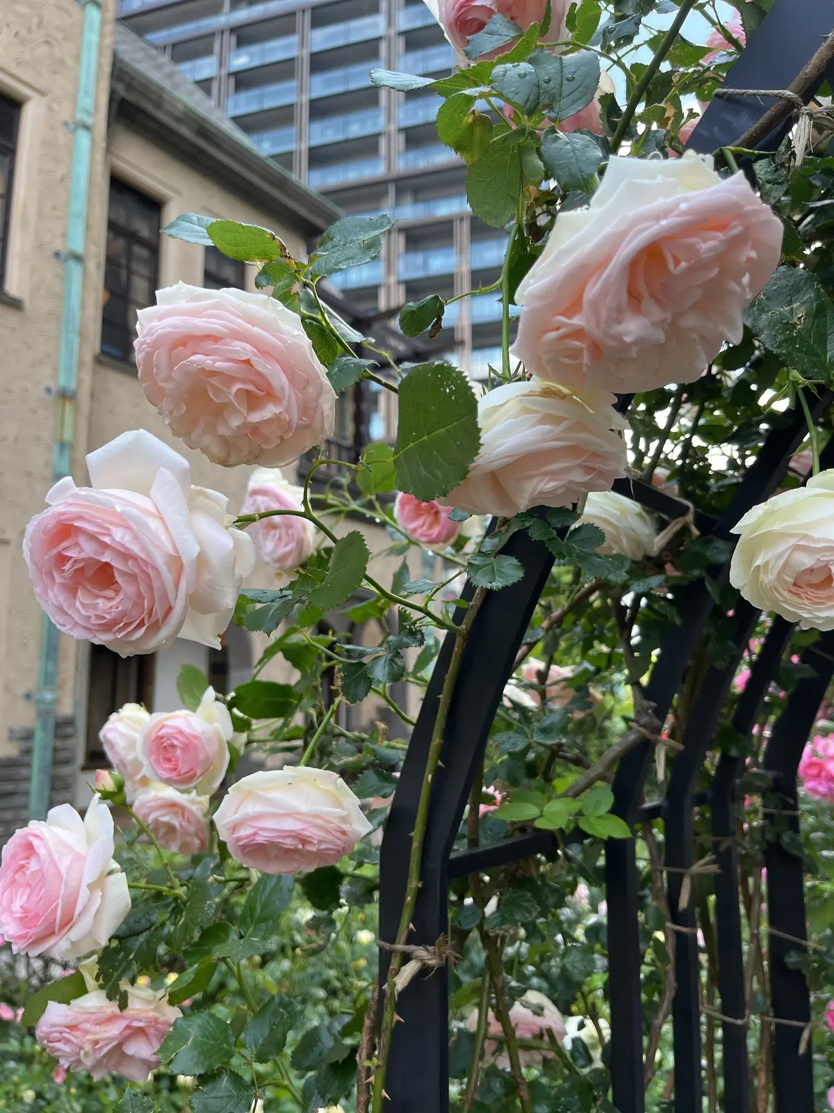 1人時間を楽しむ。銀座＆紀尾井町編その②の画像_13