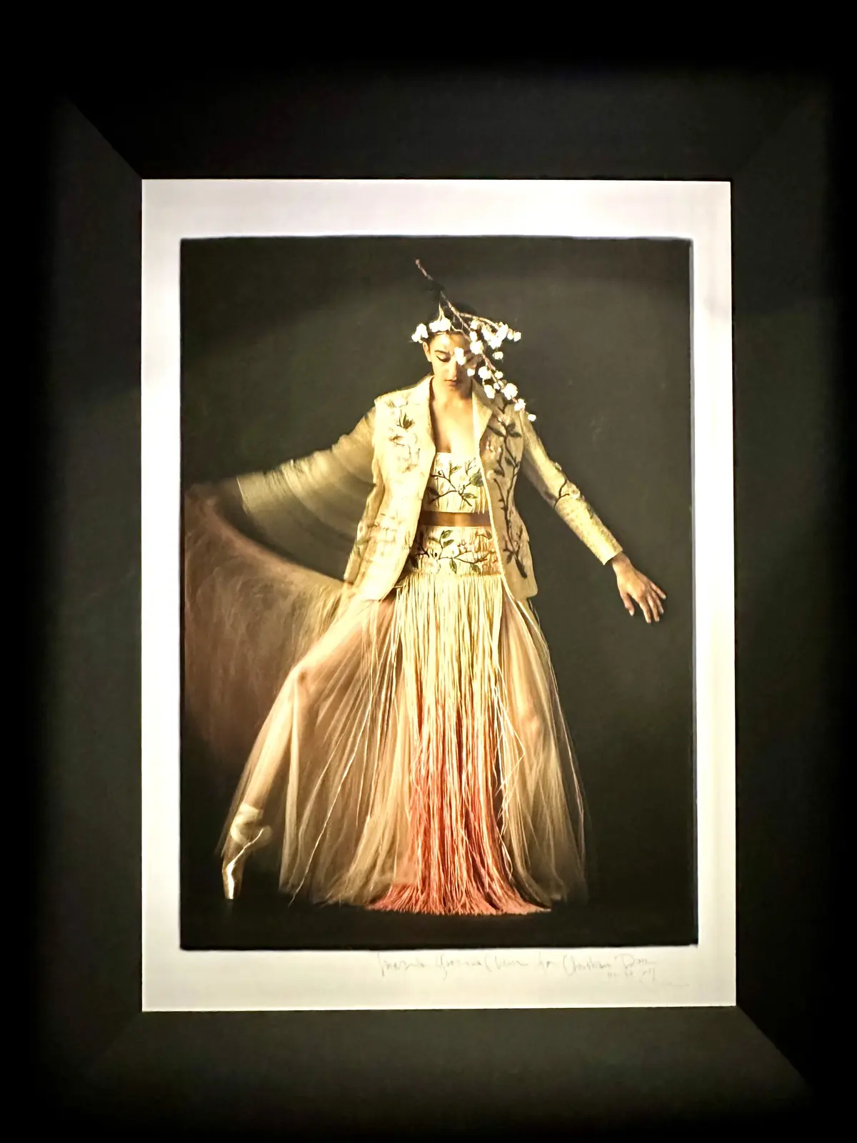 「クリスチャン・ディオール、夢のクチュリエ」高木由利子氏撮影の写真