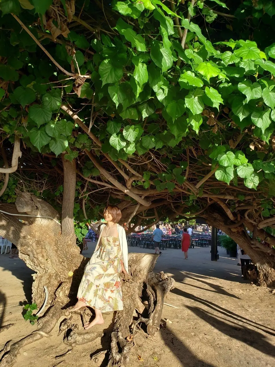 大人のハワイ旅の画像_3