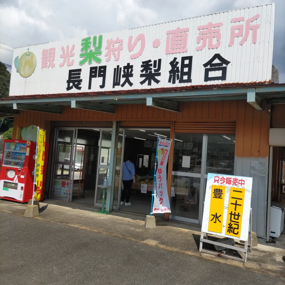 『二十世紀梨』の画像_6