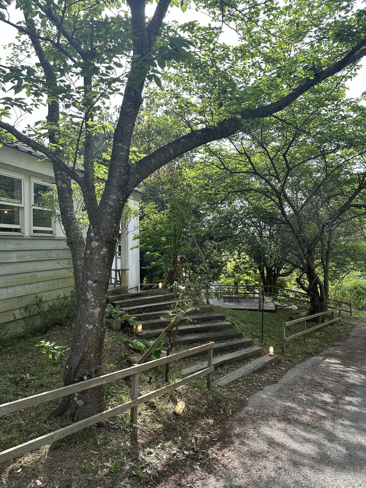 Calendula Tour！の画像_10