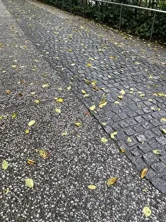 落ち葉も見受けられるようになりました。