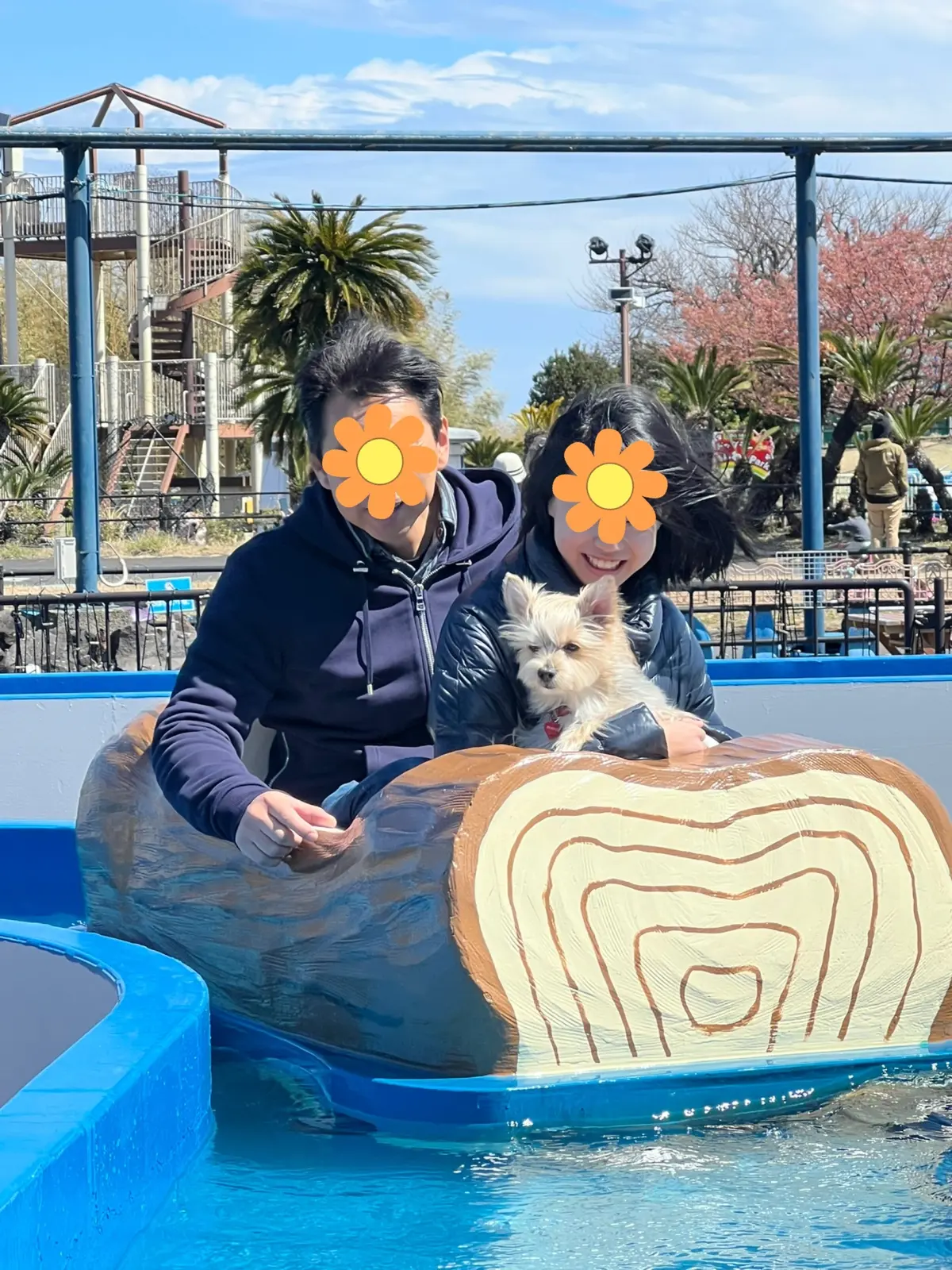 犬と一緒に乗れるアトラクション?