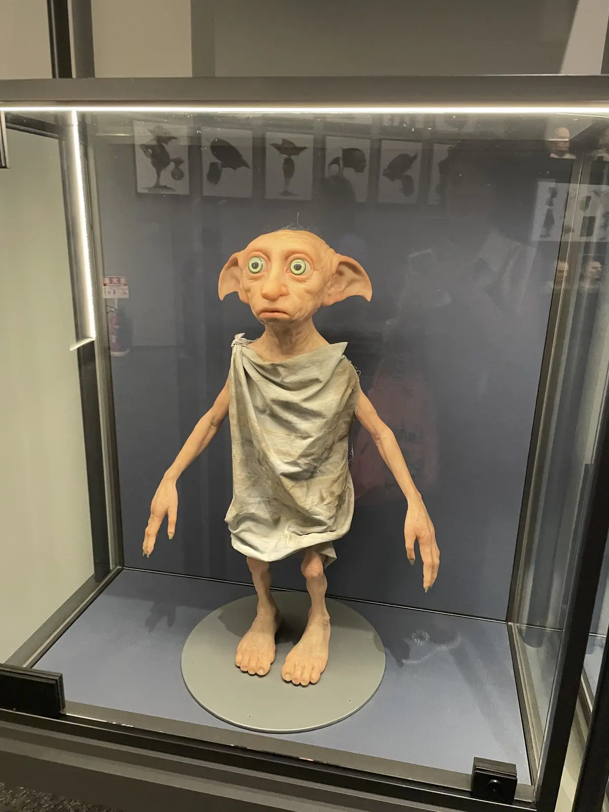 可愛い、ハリーポッター、ワーナーブラザース、スタジオツアー東京、ワーナーブラザーススタジオツアー東京、 メイキング・オブ・ハリー・ポッター、ワーナー ブラザース スタジオツアー東京メイキング・オブ・ハリー・ポッター、ハリーポッター、現在期間限定、炎のゴブレット、ドビー、屋敷しもべ、本物、実物、