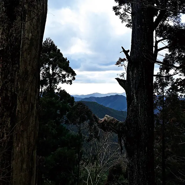 険しい山々の向こうに、はるか大阪方面を 望む。