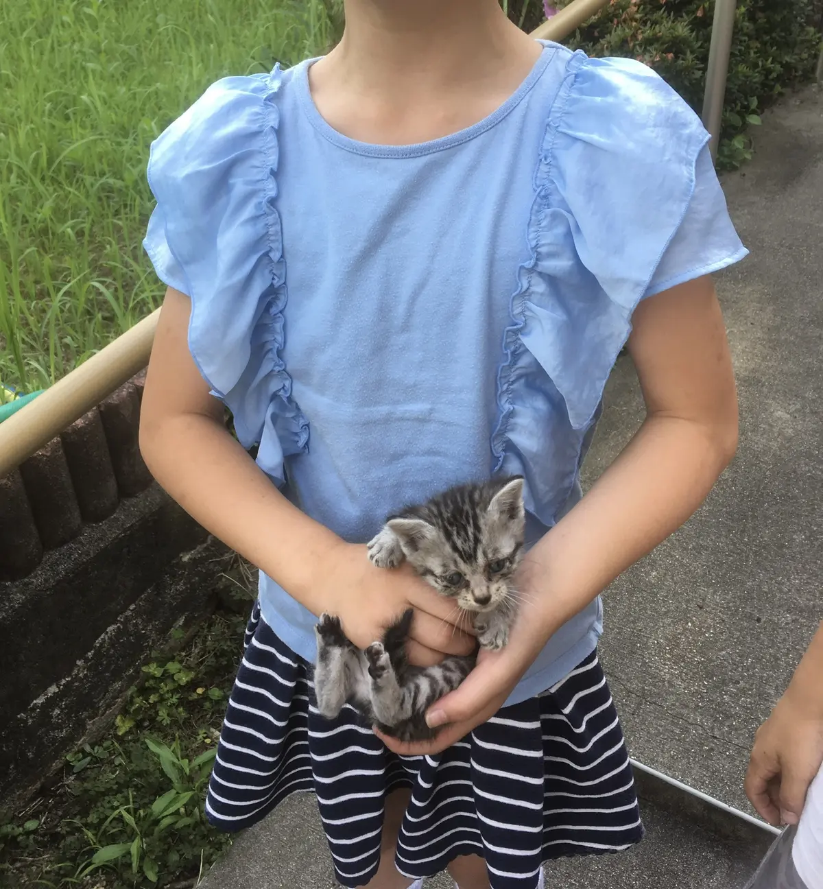 我が家の癒し　の画像_1