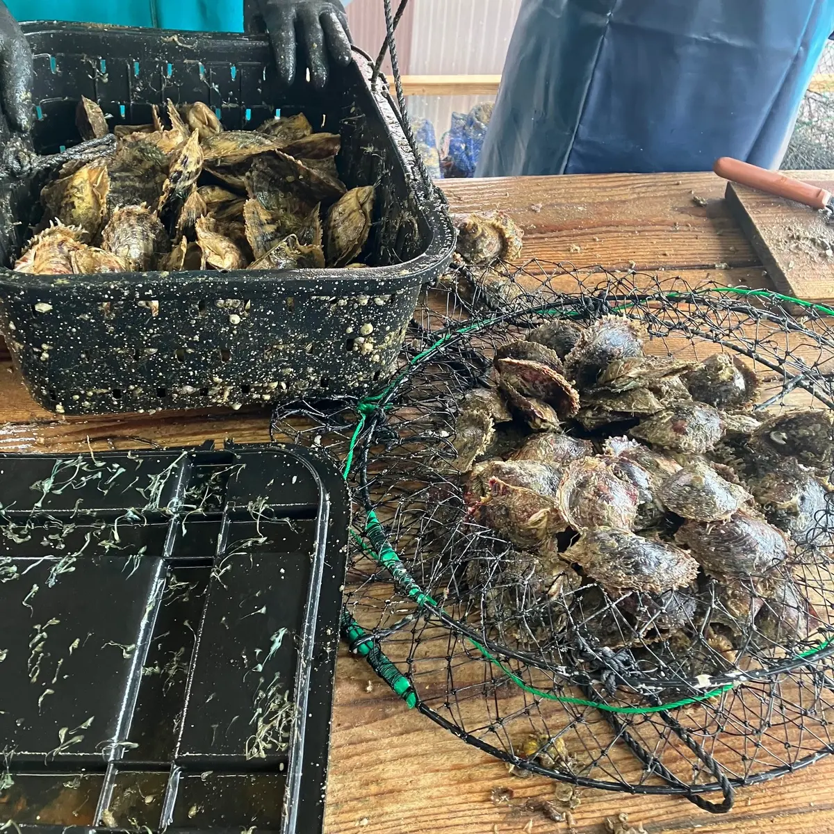 最新、最高の乗り心地……! 「レンジローの画像_15