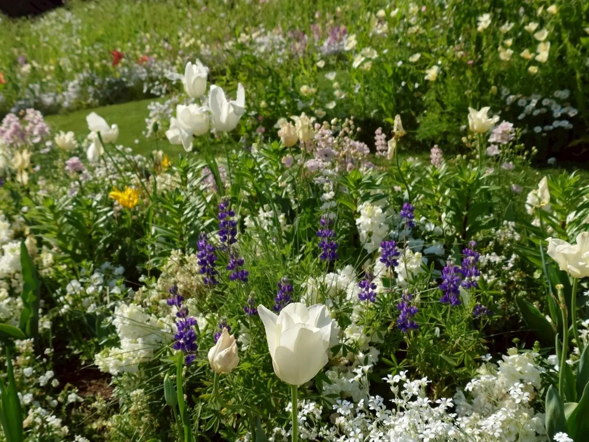 里山ガーデンフェスタ