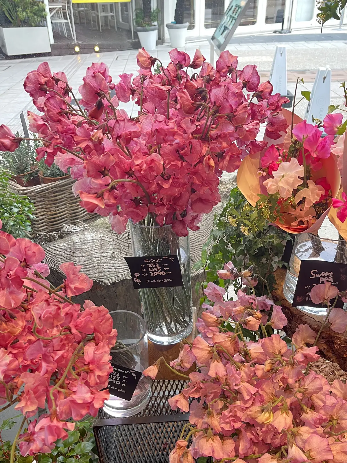 GREEN HOUSEで花活♪の画像_4