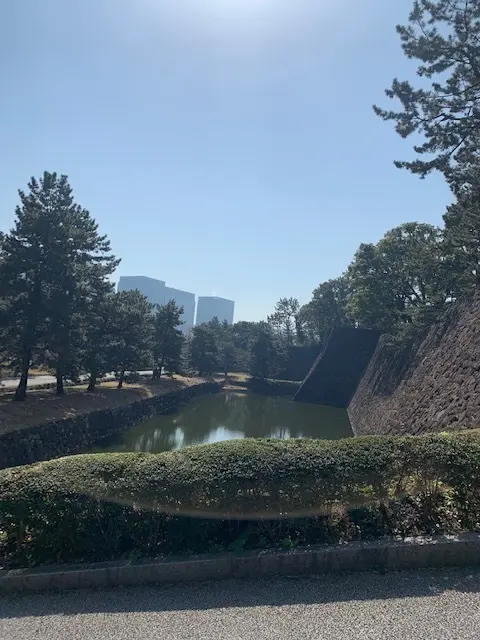 皇居の財布の画像_4