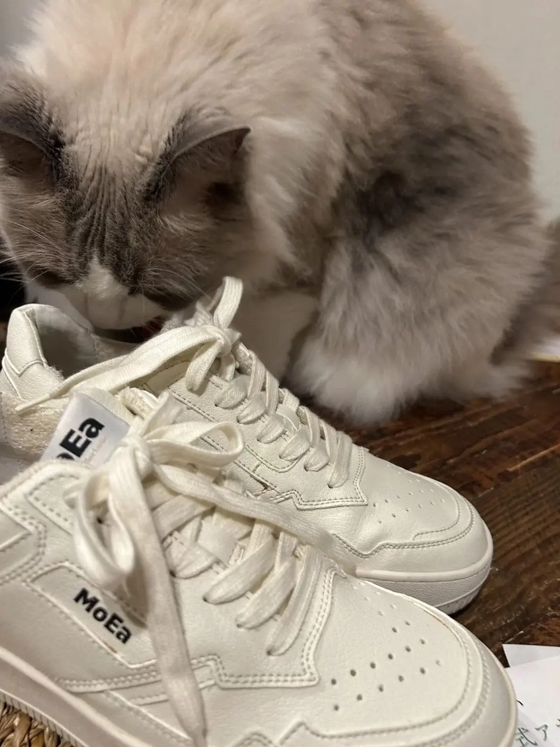 【50代 ファッション】これ買っちゃいまの画像_1