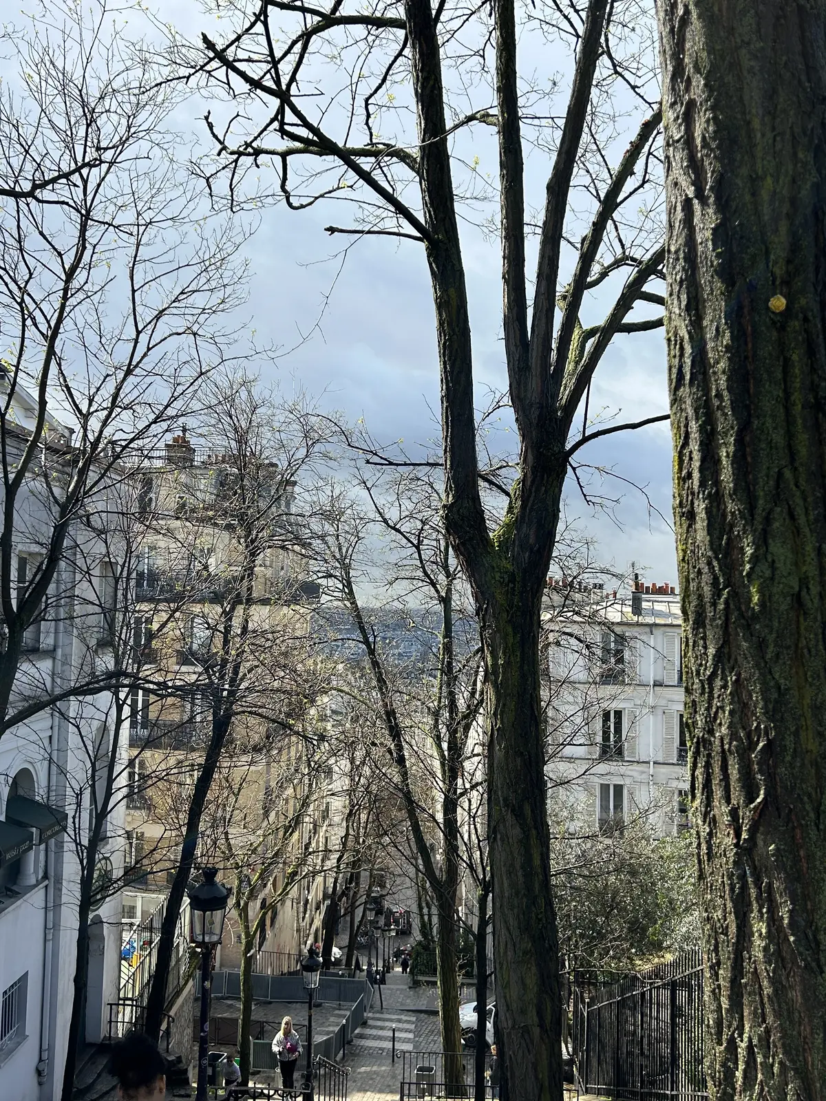 パリ　観光　モンマルトルからの景色　おすすめ