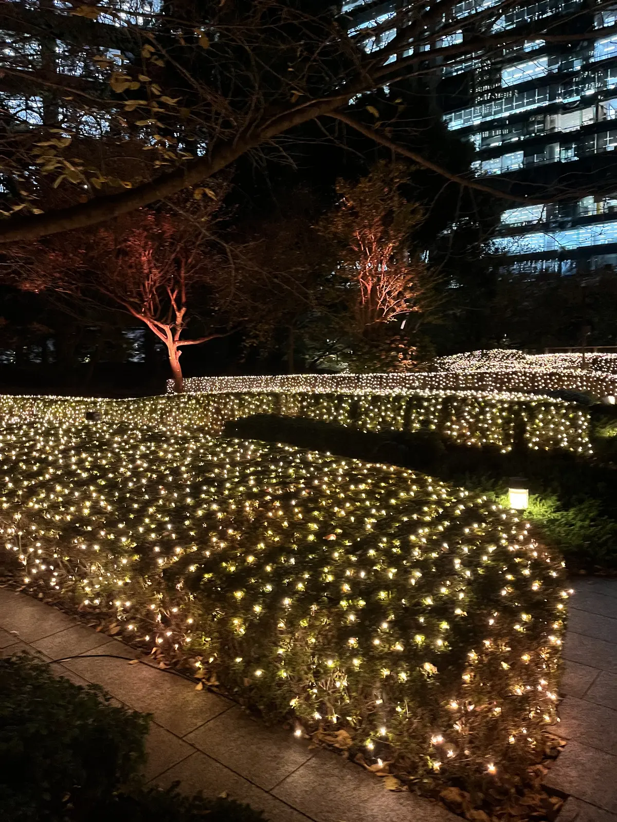 【イベント】Tokyo X'masイルミの画像_3