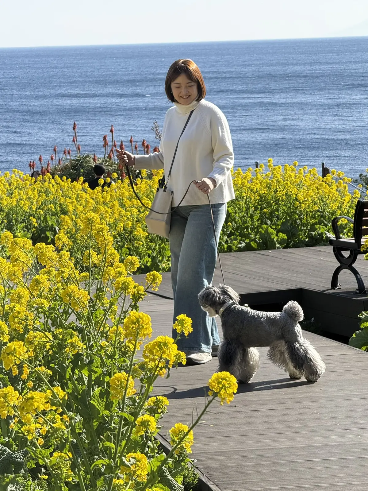 ニューヨークランプミュージアム＆フラワーガーデン　梅澤千佳子　菜の花