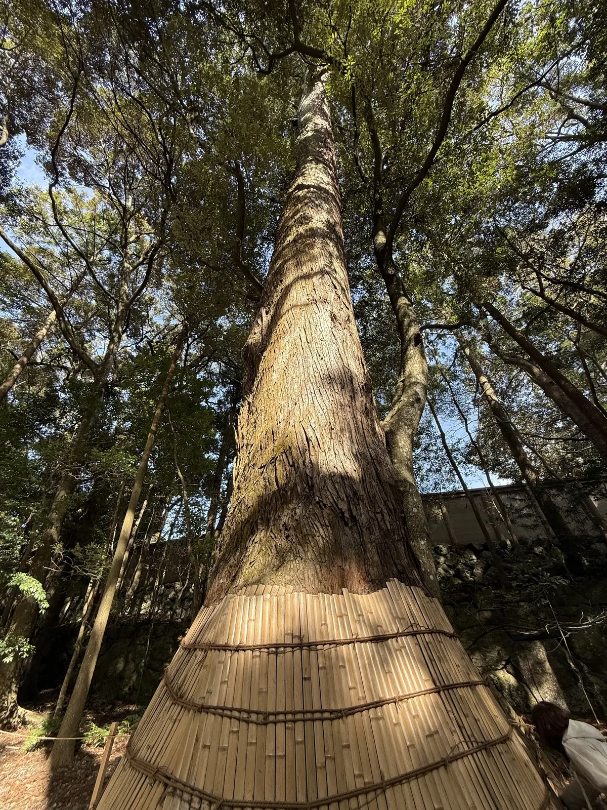 【三重】伊勢神宮へ─大阪・東京・名古屋かの画像_13