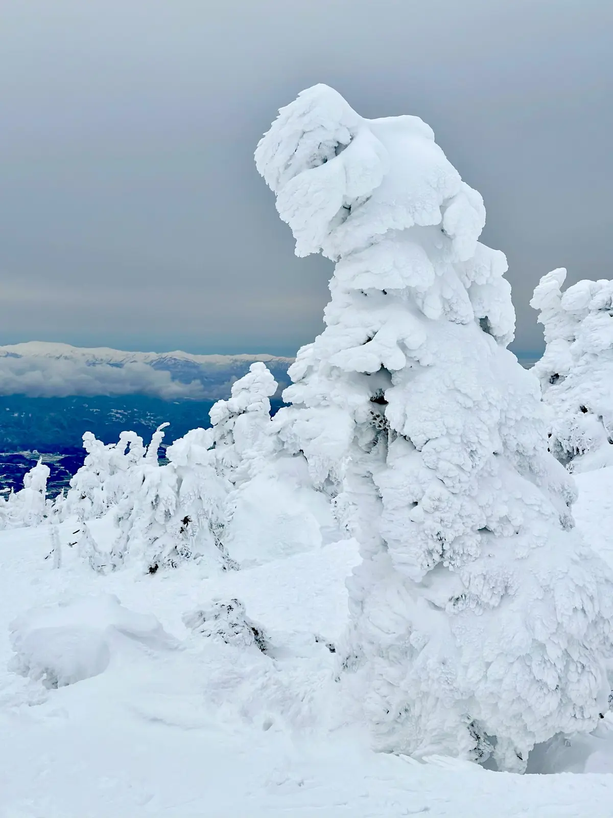 樹氷と美肌の湯を楽しむ♡山形県蔵王への旅の画像_1