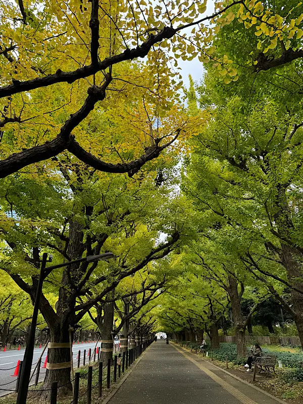 東京紅葉散策♪の画像_2