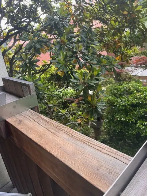 表参道この時期にぴったりな朝活カフェの画像_4