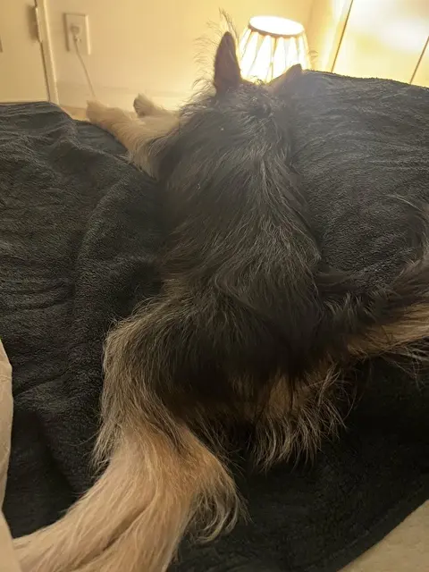 夜は一緒のベッドで寝るように！