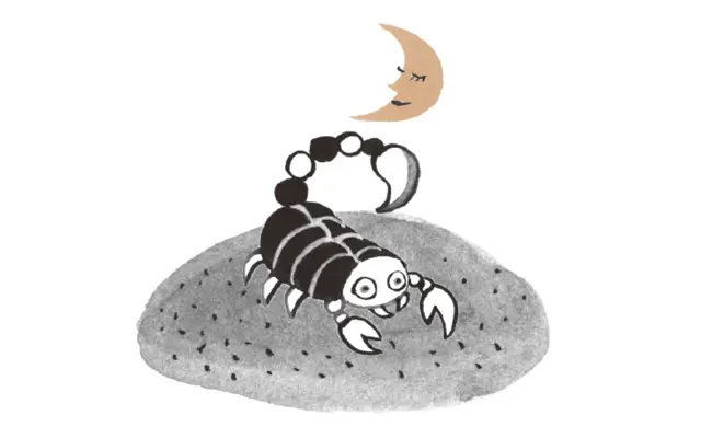 レイコ・ローランの「2021年下半期12星座占い」で新時代をのりきる！