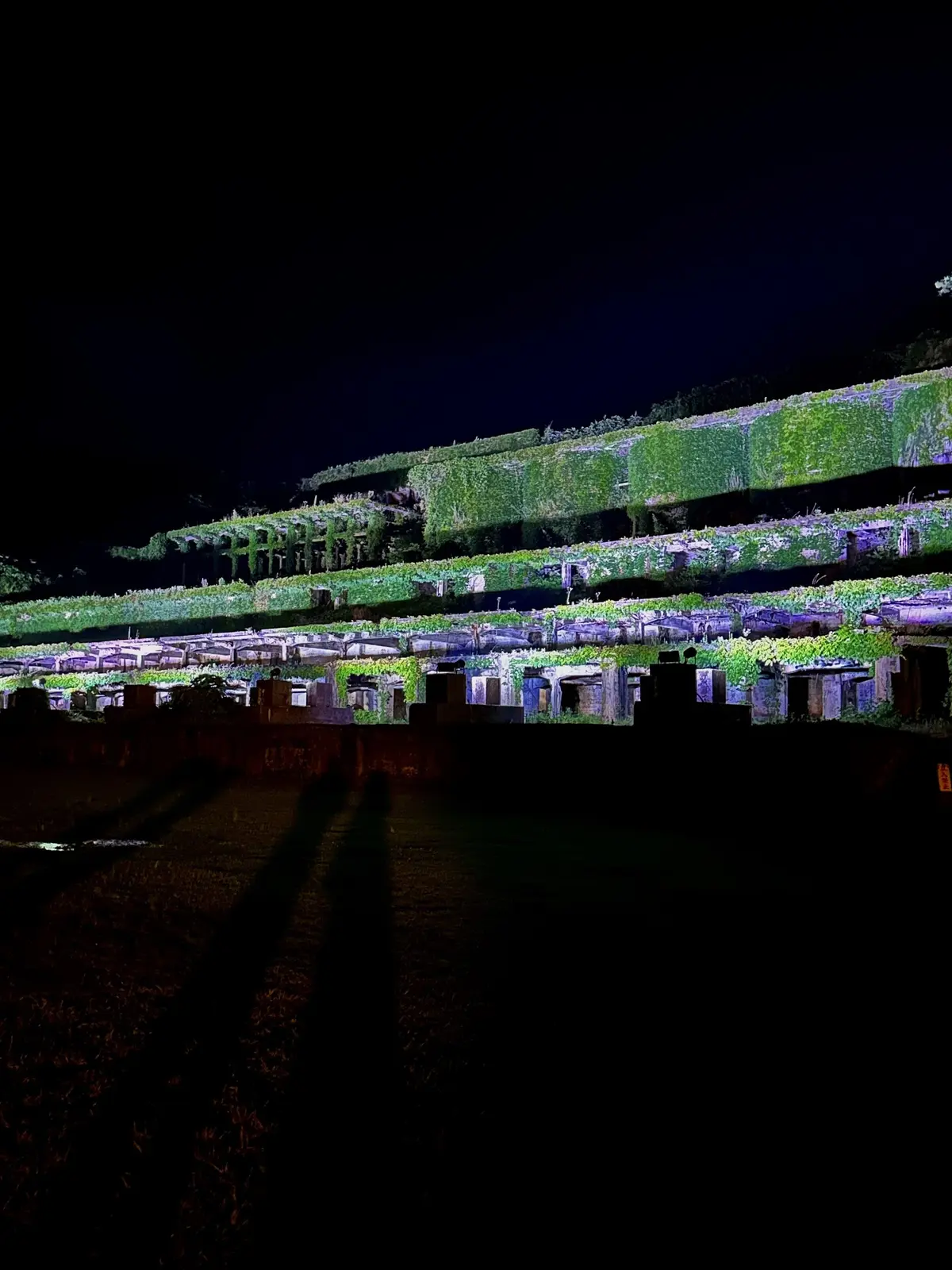 佐渡島旅行〜豊かな自然と歴史に触れる旅①の画像_21
