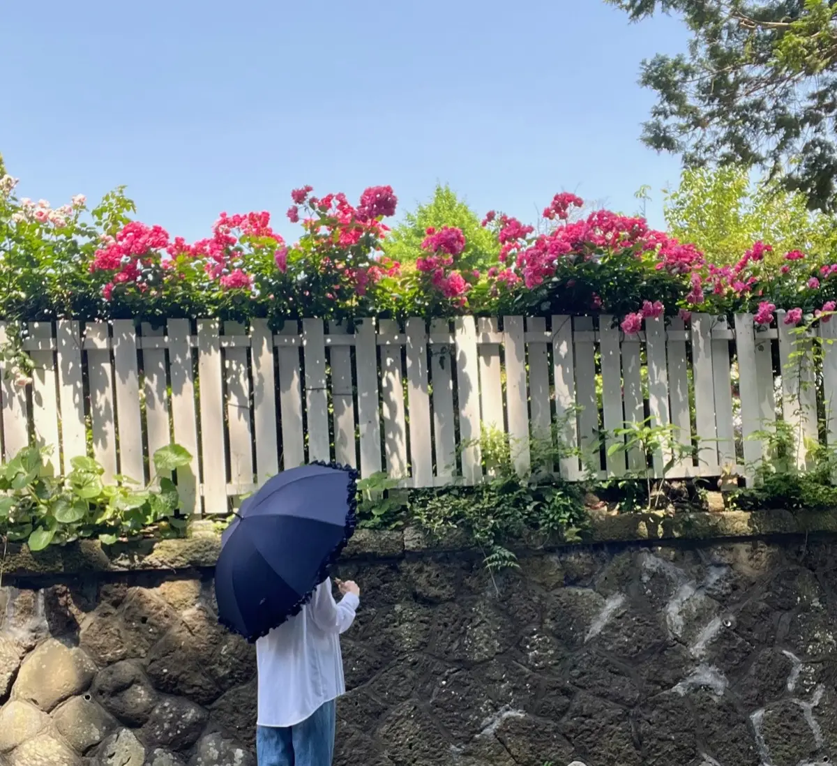 開いても閉じてもHAPPY♡日傘を買いまの画像_6