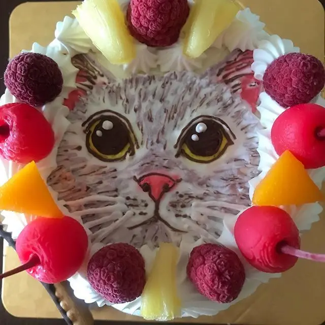 アラン、6歳になりました！の画像_2