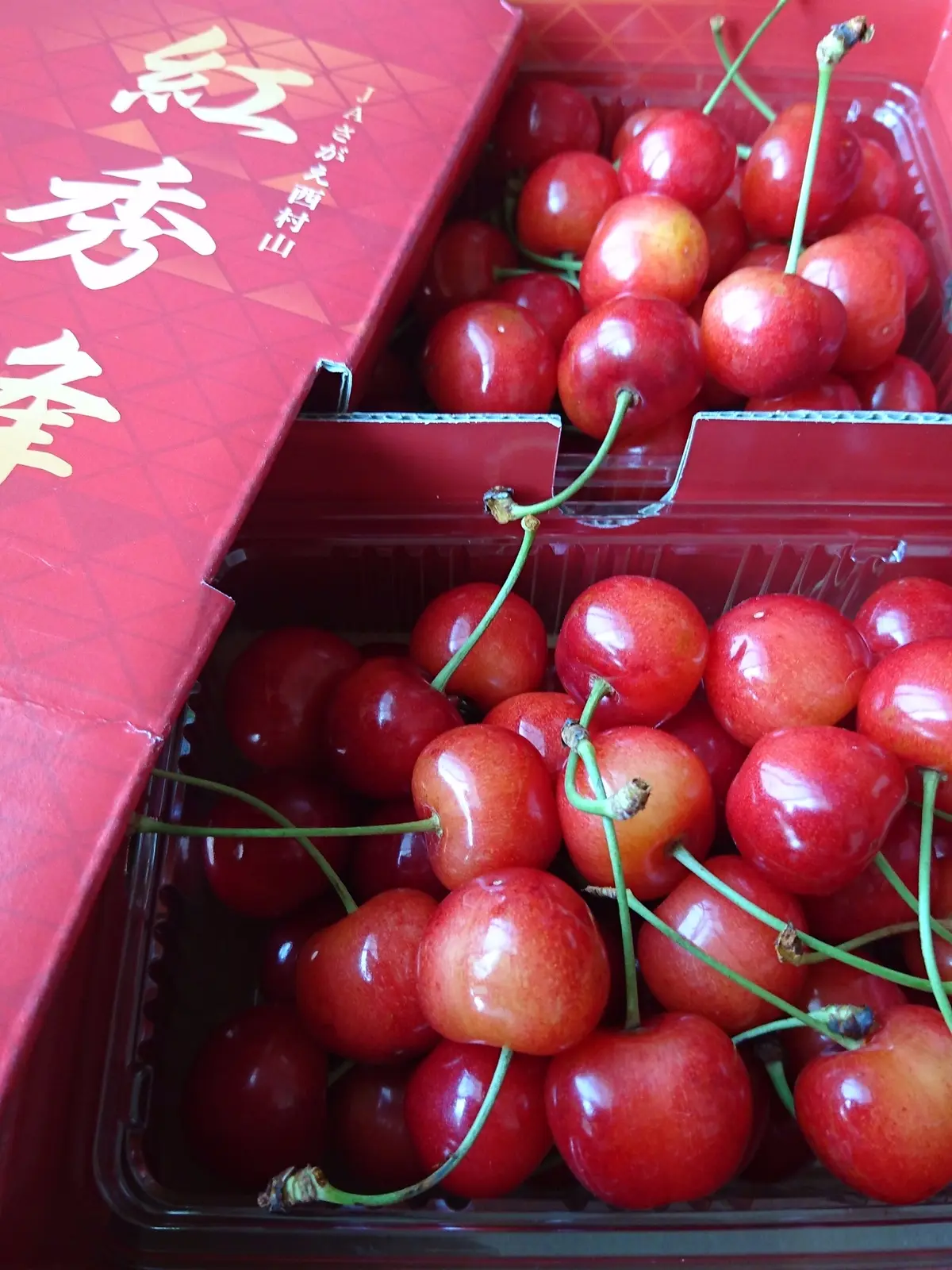 初夏の宝石☆の画像_1