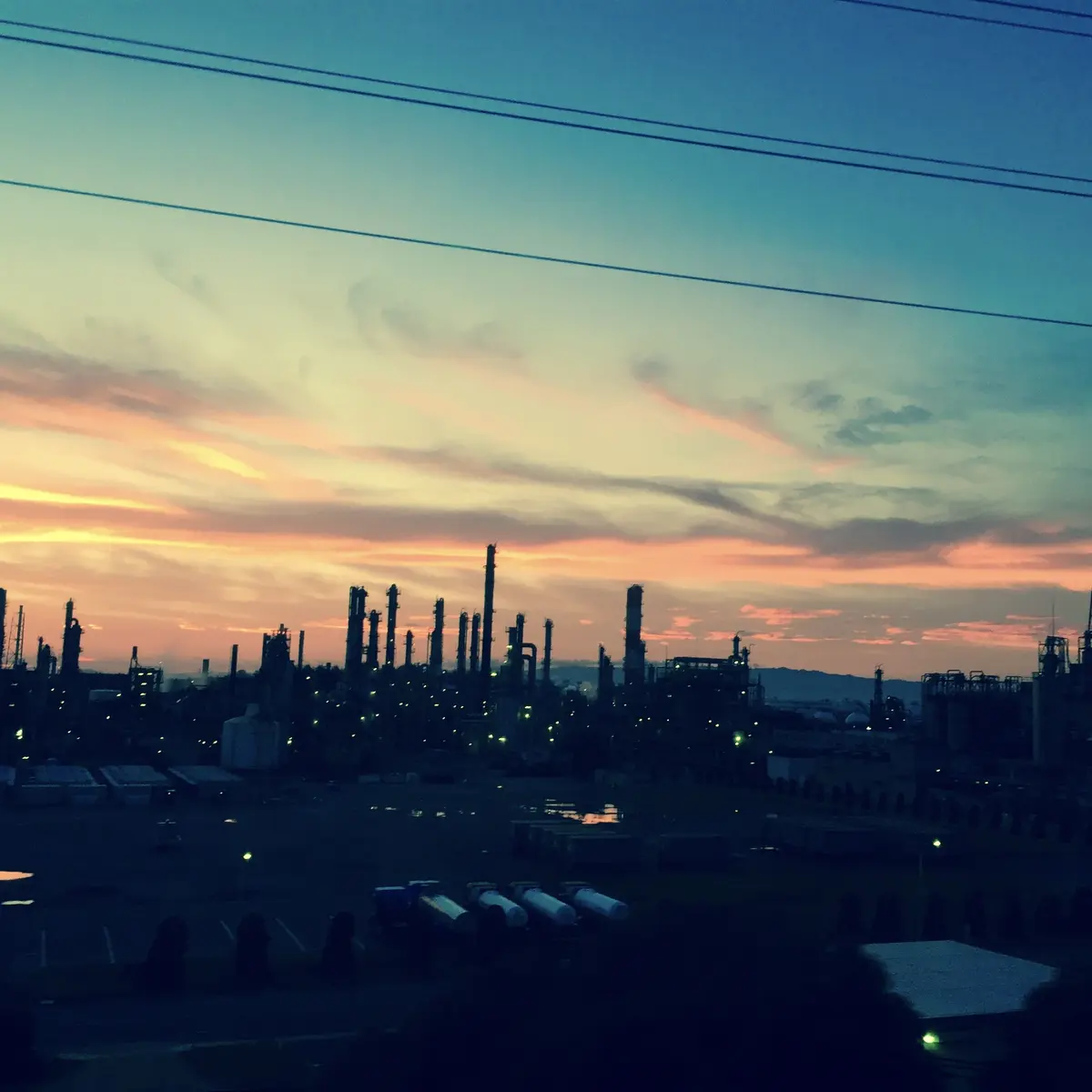 空は天才♪夏のコレクションの画像_5