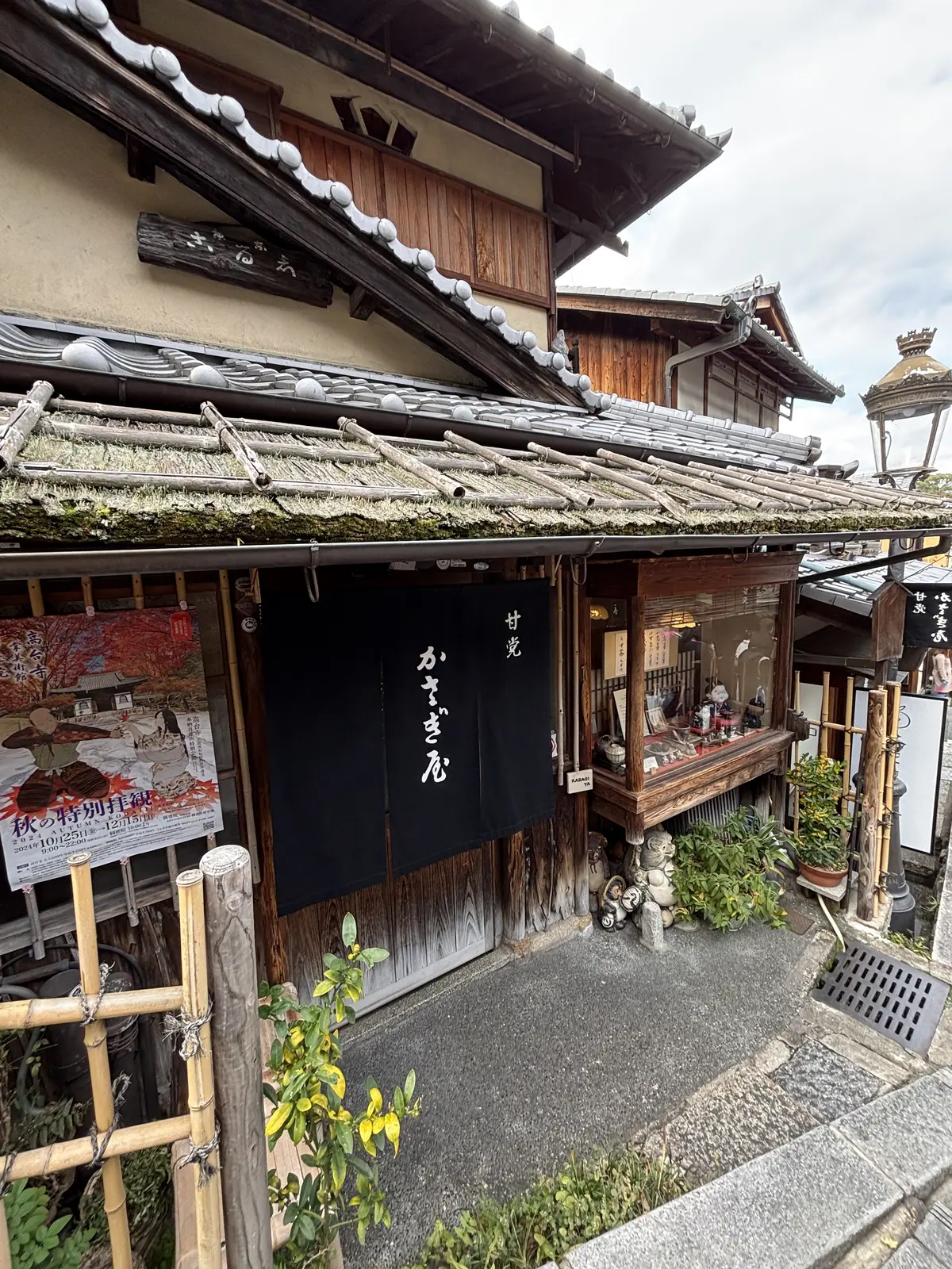 淀水路の河津桜――14年来の友と歩く、春の画像_3