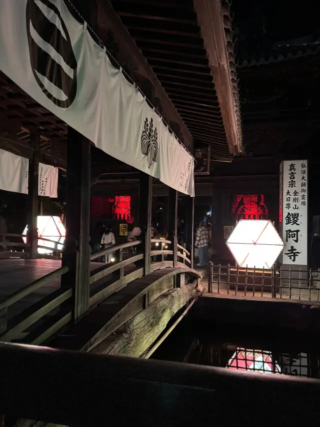 幻想的な雰囲気に包まれた灯りイベントの画像_5