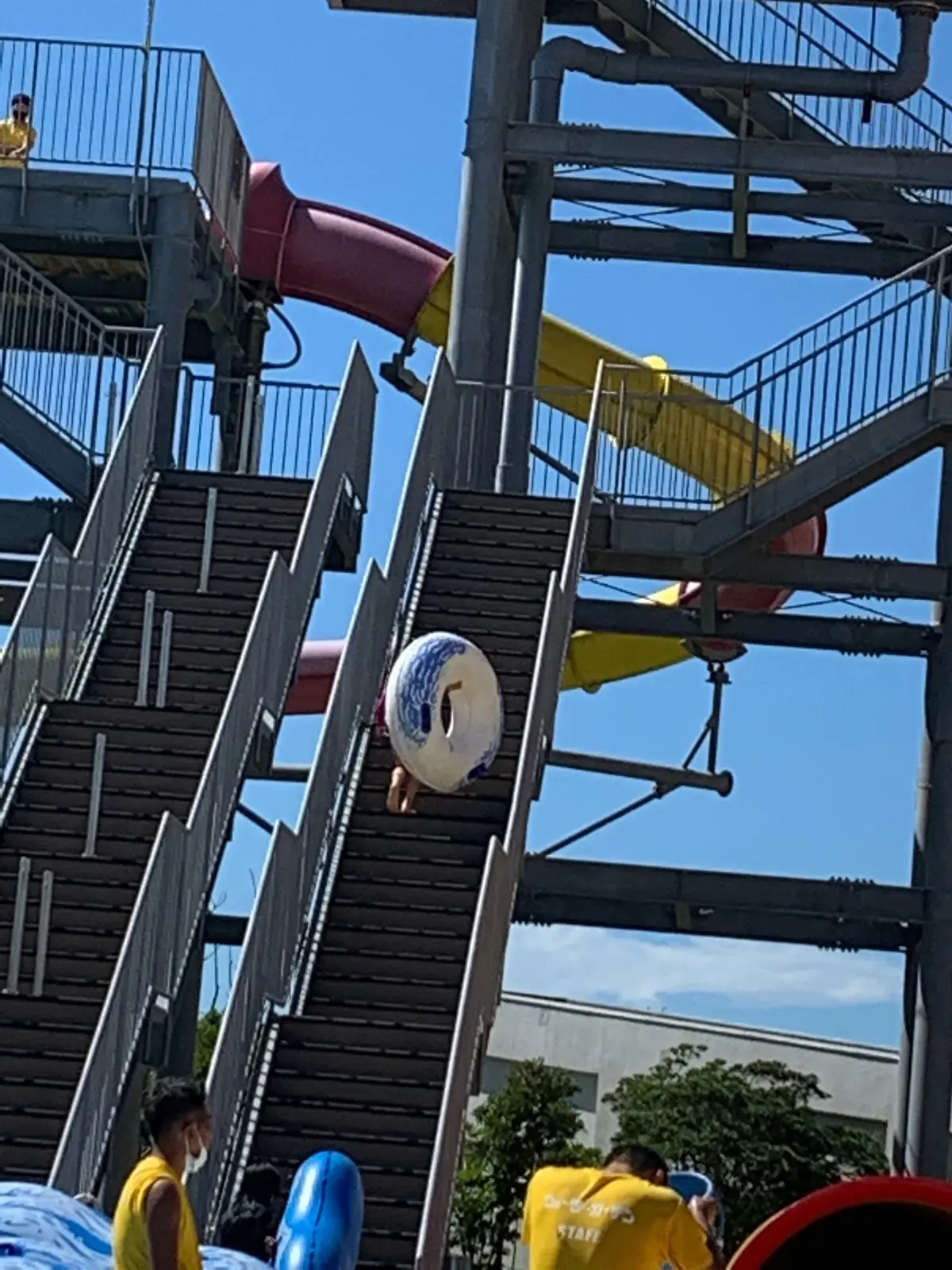 夏休みらしい日の画像_2