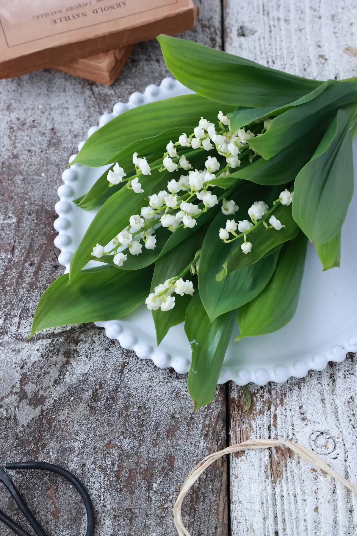 スズラン　スズランのブーケ　Astier de Villatte  アスティエ・ド・ヴィラット