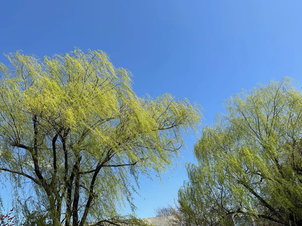 京都府立植物園