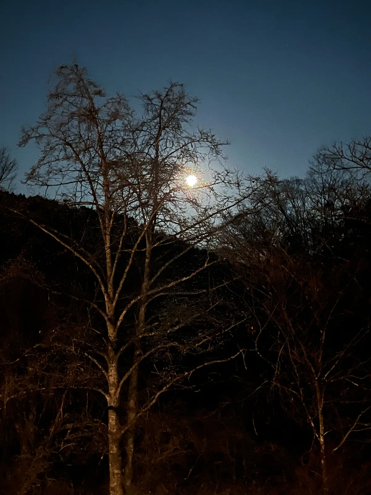 手ぶらで気軽にグランピング‼︎の画像_10
