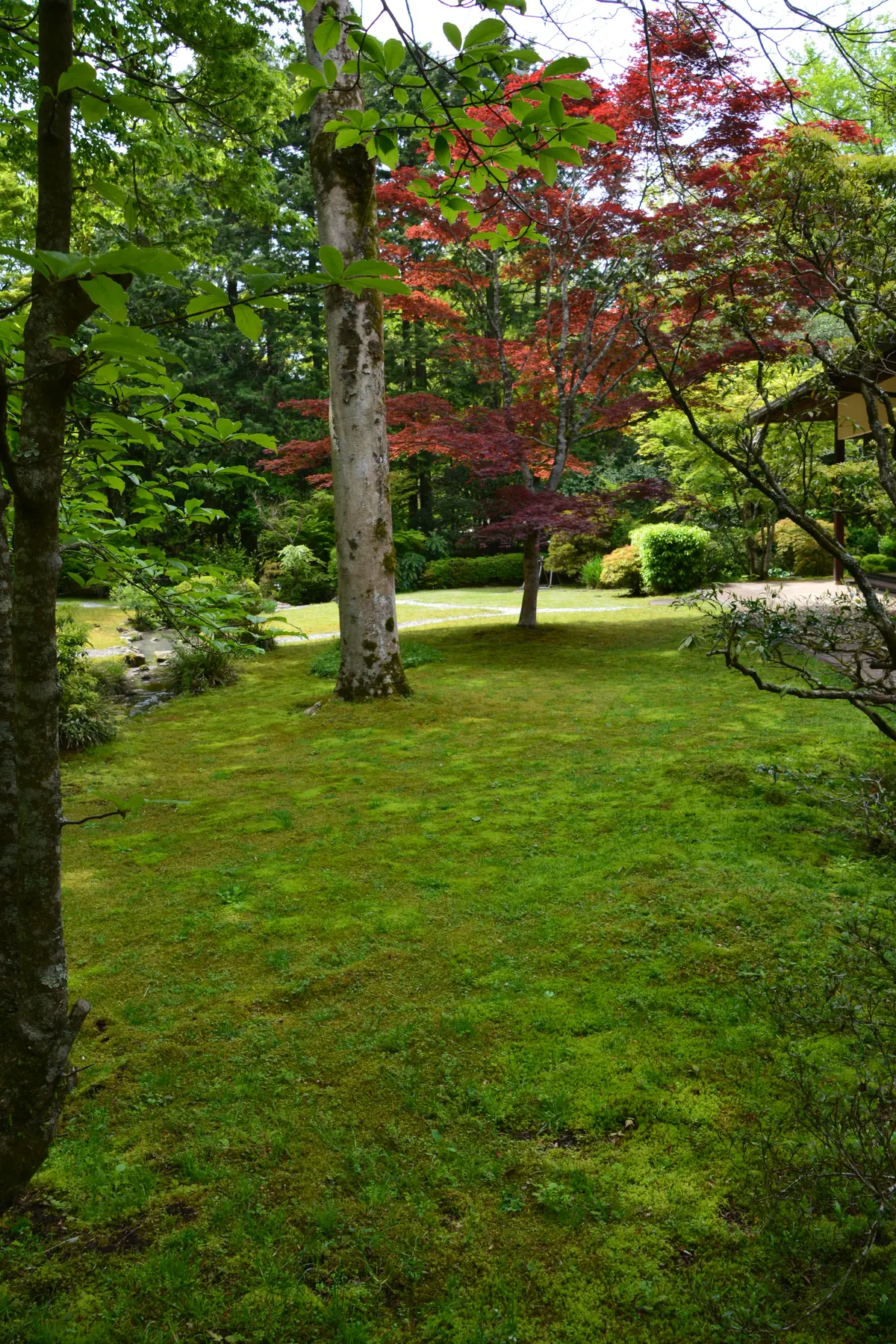 御殿場東山の旧岸邸への画像_11