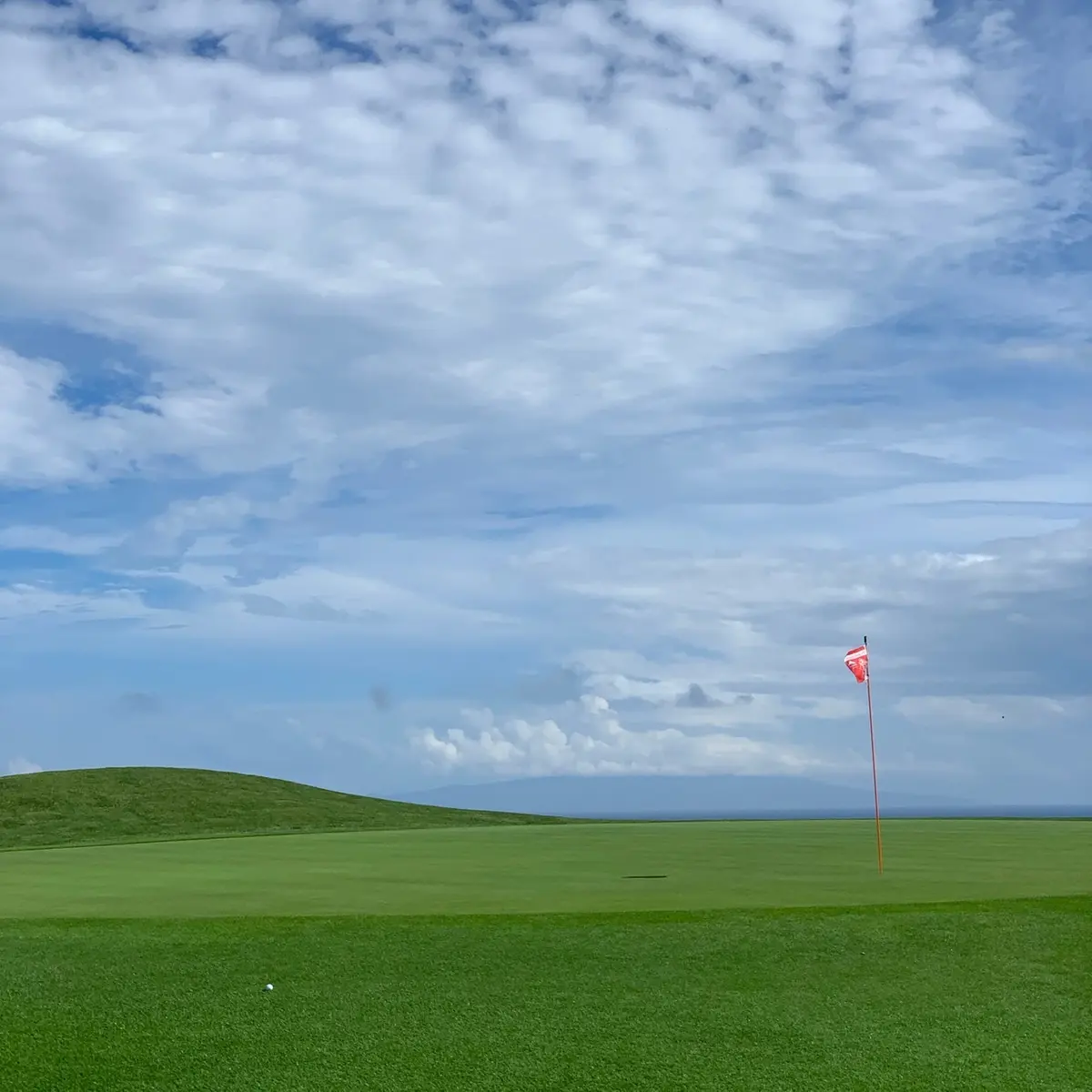 グリーンオンならず