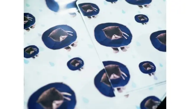 初のふうグッズはクリアファイル