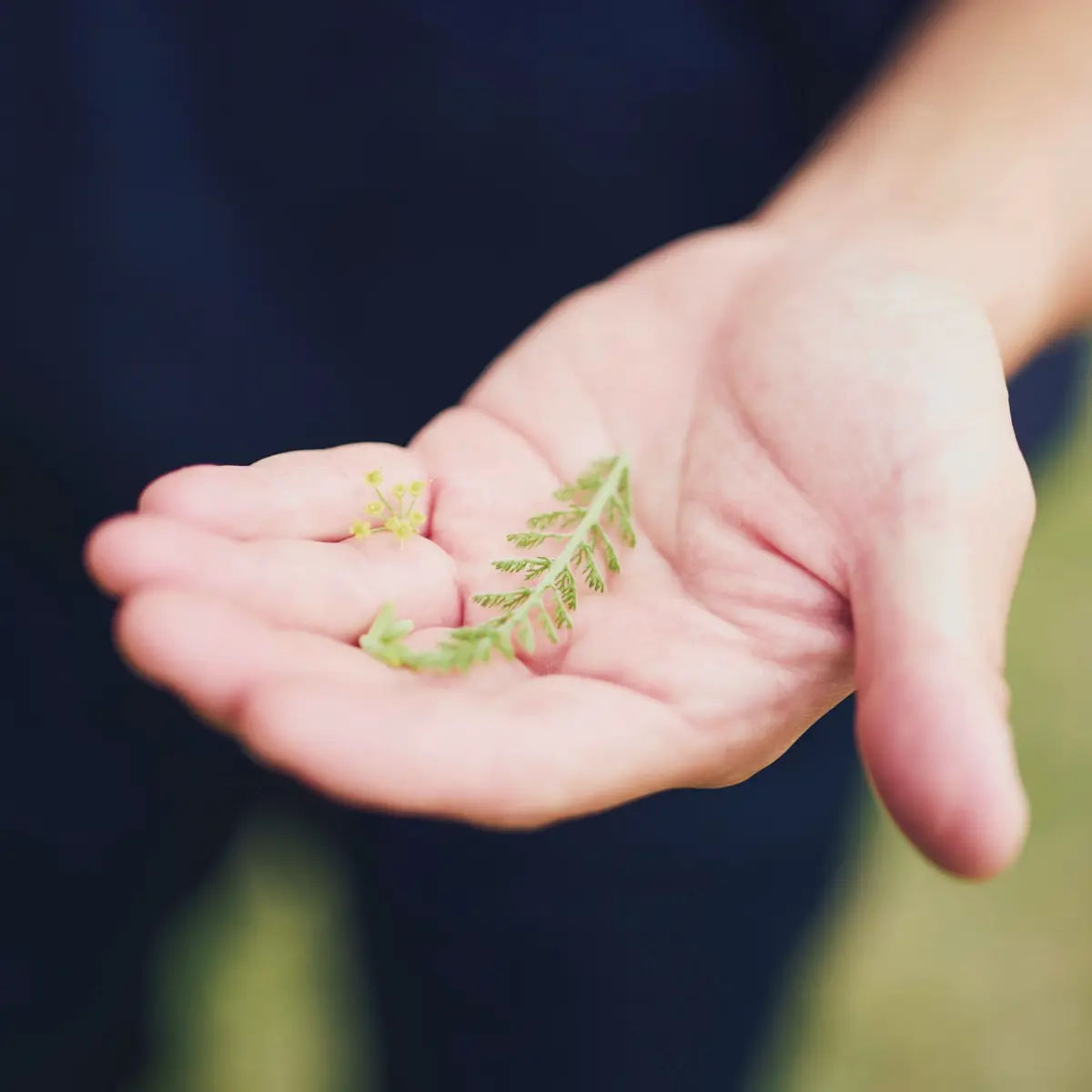 能登　国内旅行　「やりたいことと やるべきことが一致し、成長のきっかけになった」と平田シェフ
