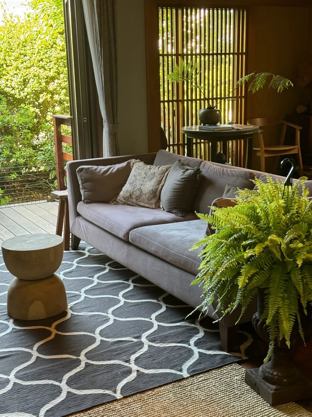 涼を呼ぶグリーンや花を部屋に♪の画像_1